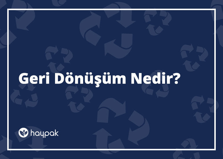 Geri Dönüşüm Nedir?
